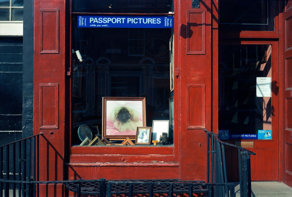 This image has an empty alt attribute; its file name is photographer-2.jpg